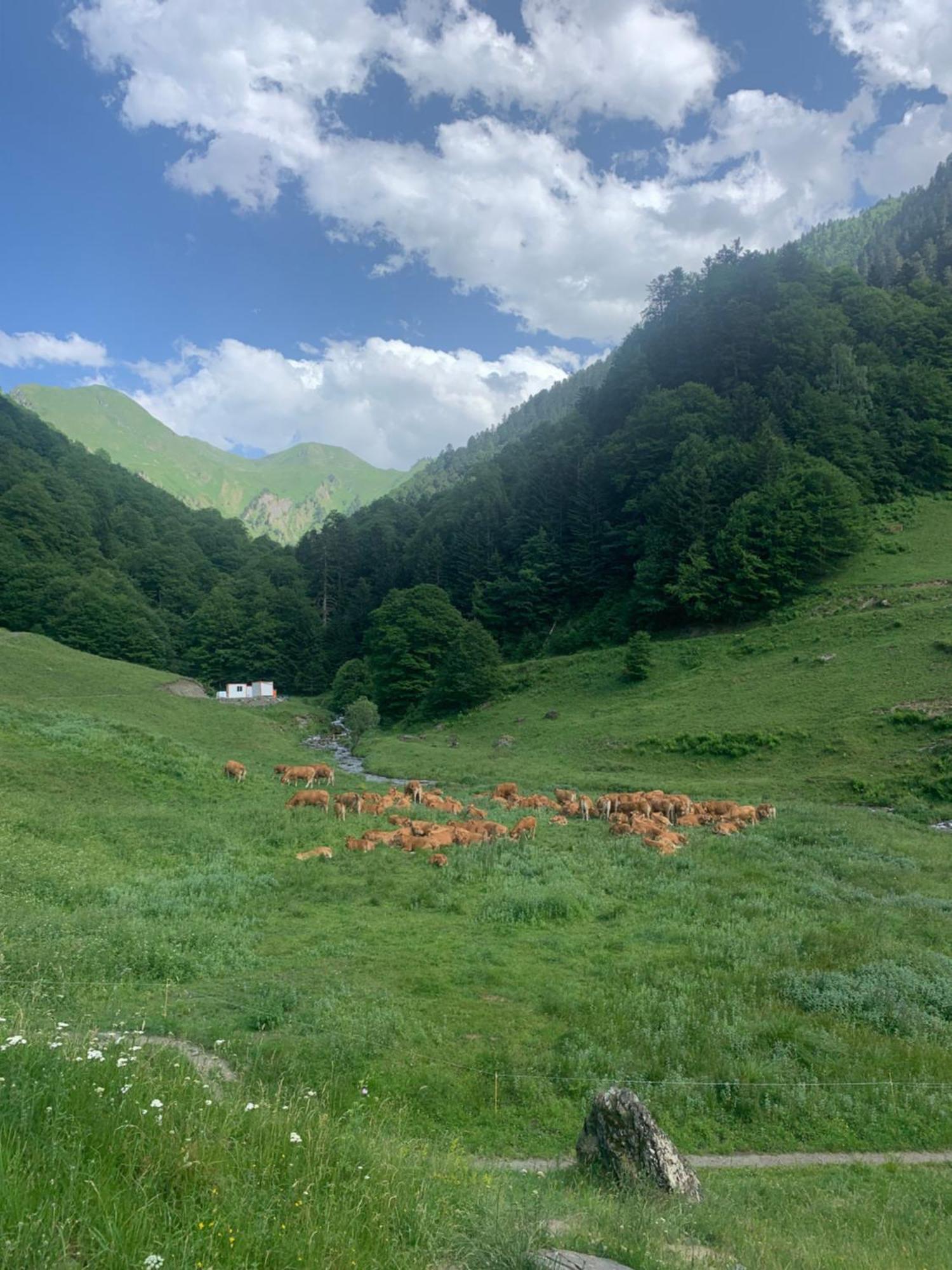 Appartement 2 Personnes Cures Ski Luchon Bagneres-de-Luchon ภายนอก รูปภาพ